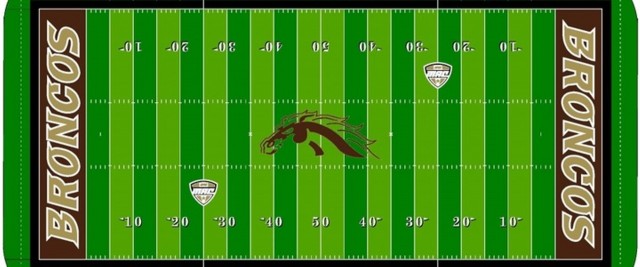 WESTERN MICHIGAN UNIVERSITY SELECTS FIELDTURF YET AGAIN FOR WALDO STADIUM