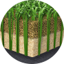 PureCob - Corn Cobs