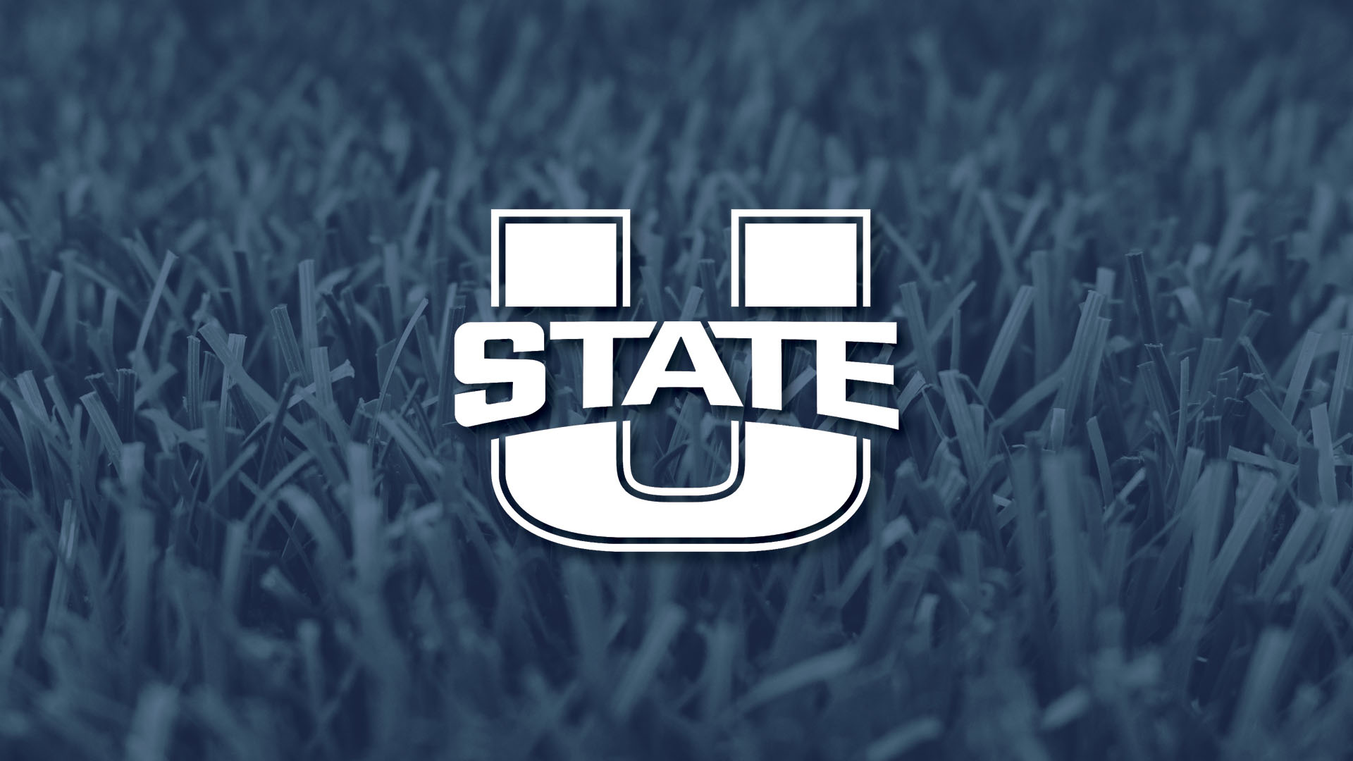 Utah State Aggies Bleacher Cushion