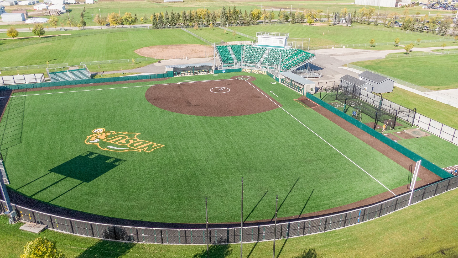 Softball Indoor And Outdoor Artificial Turf - FieldTurf